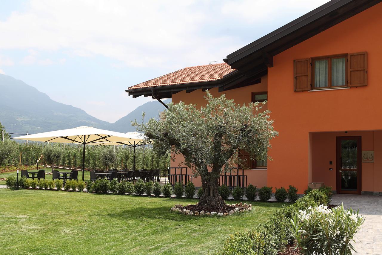 Maso Miri * Trento